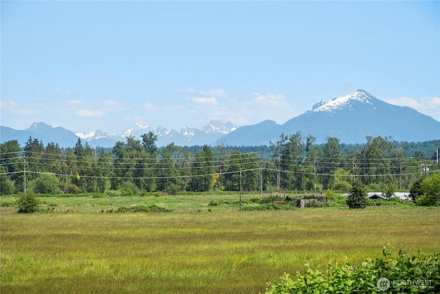 1826 156th St NE, Arlington, WA 98223 - mountain view with rural landscape