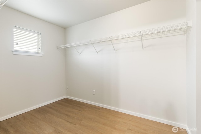 9402 187th St E, Puyallup, WA 98375 - walk in closet with light wood-type flooring