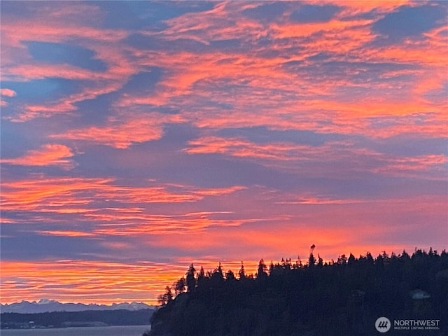 161 Montgomery Ln, Port Ludlow, WA 98365 - view of nature at dusk