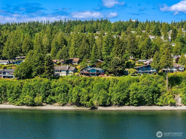 161 Montgomery Ln, Port Ludlow, WA 98365 - bird's eye view of a nearby body of water and a forest