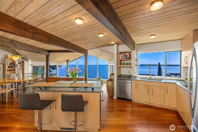161 Montgomery Ln, Port Ludlow, WA 98365 - kitchen with appliances with stainless steel finishes, light brown cabinetry, wooden ceiling, dark wood-style flooring, and plenty of natural light