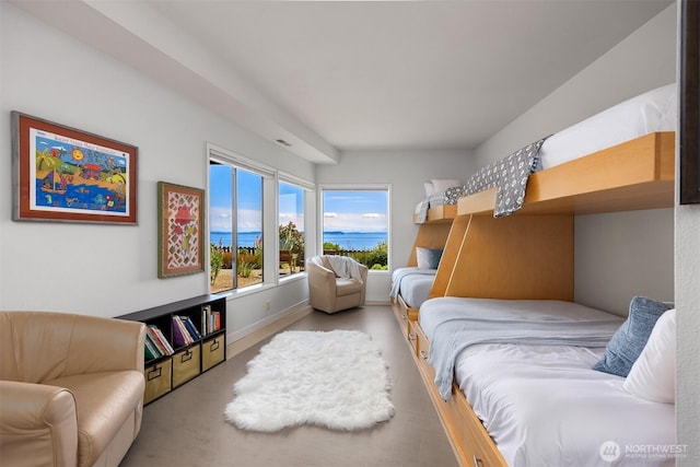 161 Montgomery Ln, Port Ludlow, WA 98365 - bedroom featuring carpet flooring, baseboards, and a water view