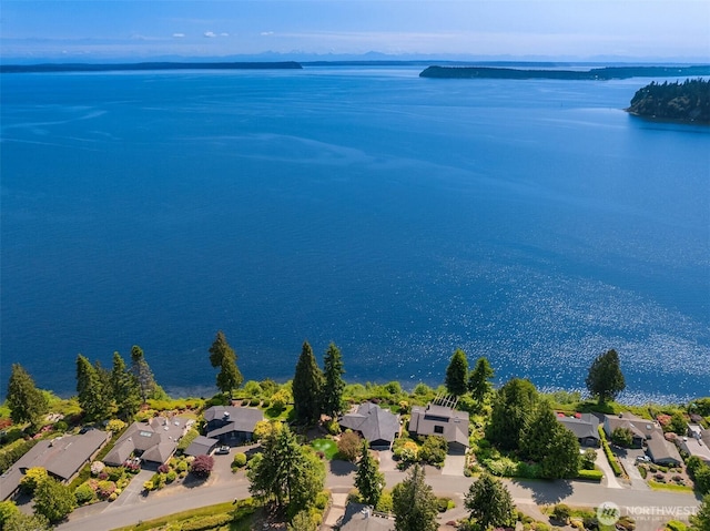 161 Montgomery Ln, Port Ludlow, WA 98365 - aerial view of residential area featuring a large body of water