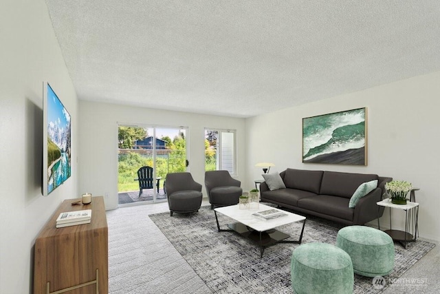 carpeted living area with a textured ceiling