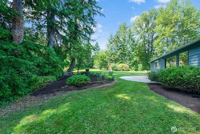 12043 184th Ave NE, Redmond, WA 98052 - view of grassy yard