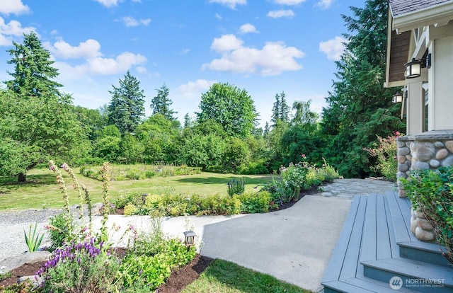 12043 184th Ave NE, Redmond, WA 98052 - view of green lawn