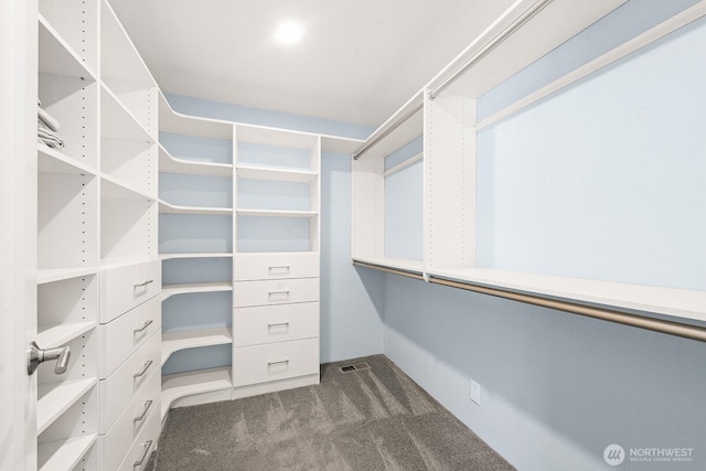 12043 184th Ave NE, Redmond, WA 98052 - spacious closet with carpet flooring