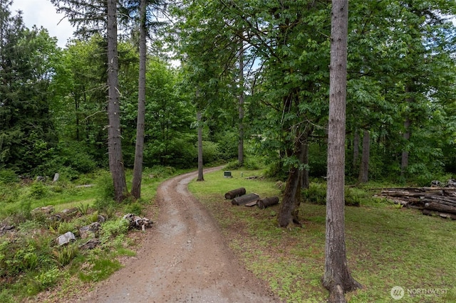 view of road with a view of trees