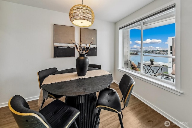 2432 Dexter Ave N Unit 201, Seattle, WA 98109 - dining area featuring baseboards, wood finished floors, and a water view