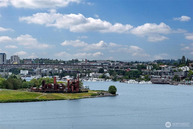 2432 Dexter Ave N Unit 201, Seattle, WA 98109 - water view