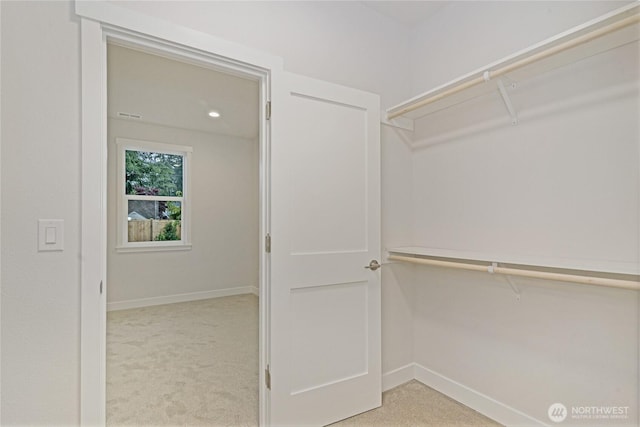 walk in closet with light carpet