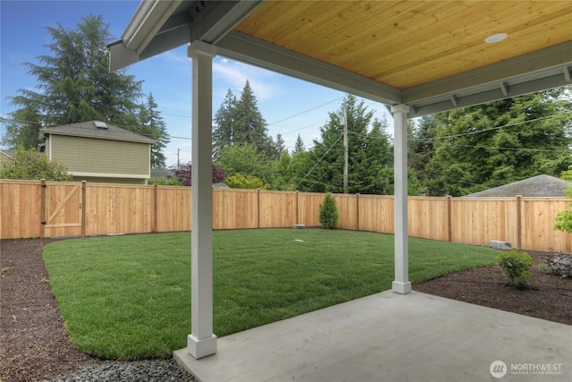 view of yard featuring a patio area