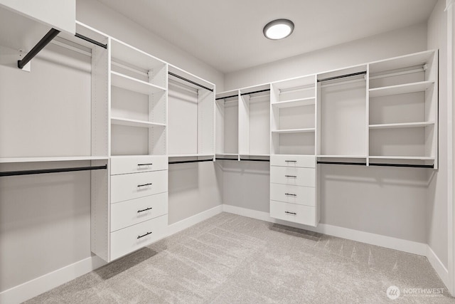 1428 238th St SE, Bothell, WA 98021 - walk in closet featuring light colored carpet