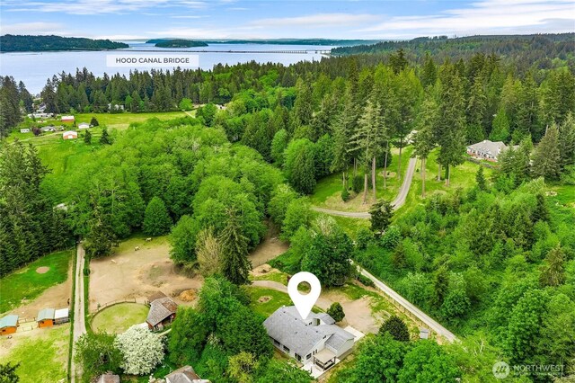 drone / aerial view of a forest and a nearby body of water