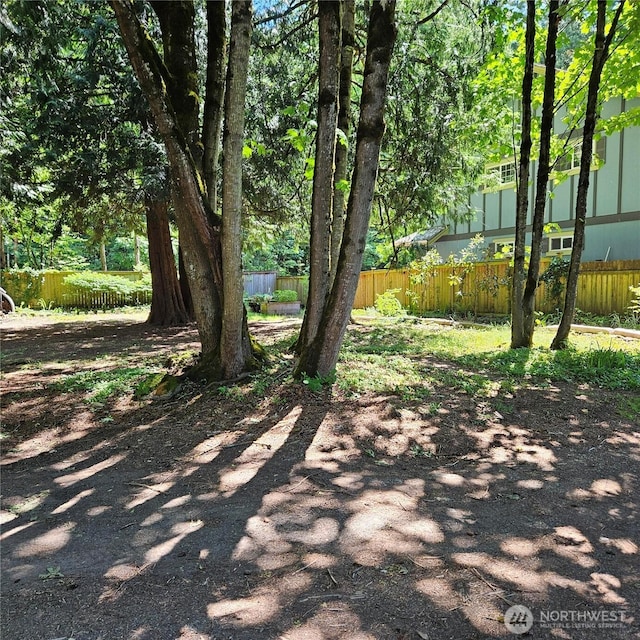 5830 115th Pl NE, Kirkland, WA 98033 - view of yard