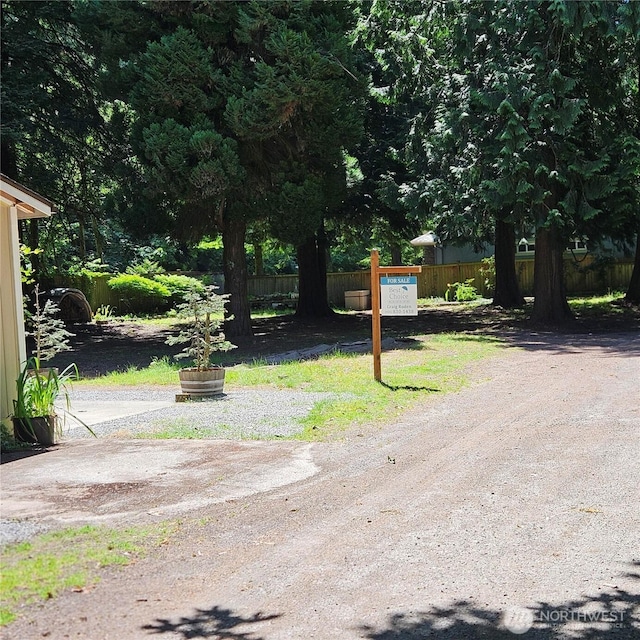 5830 115th Pl NE, Kirkland, WA 98033 - view of yard