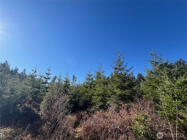 0 Winter Rd, Winlock, WA 98596