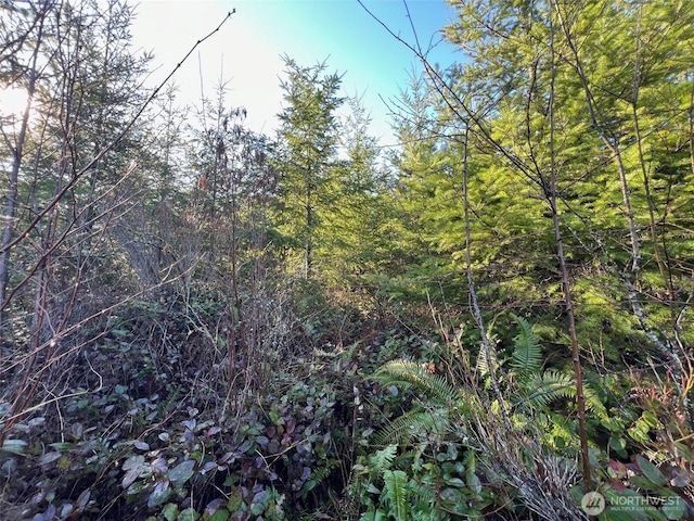 0 Winter Rd, Winlock, WA 98596