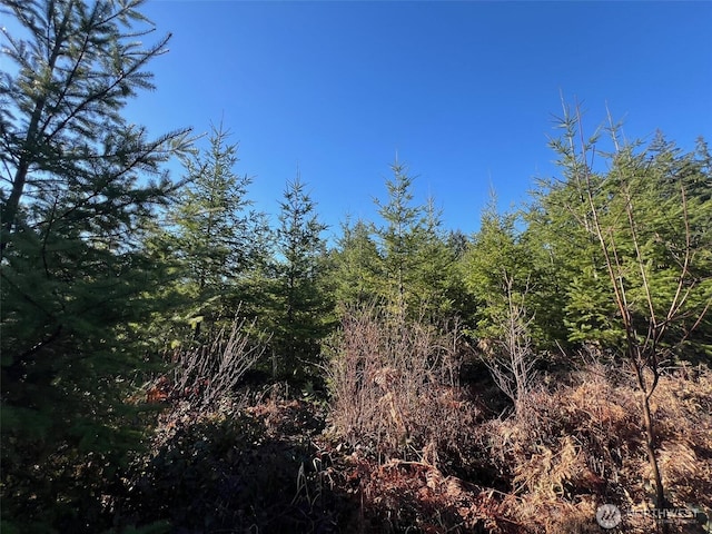 0 Winter Rd, Winlock, WA 98596