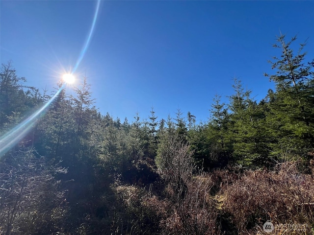 0 Winter Rd, Winlock, WA 98596