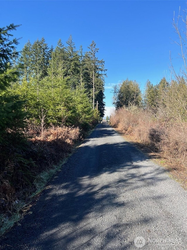 0 Winter Rd, Winlock, WA 98596