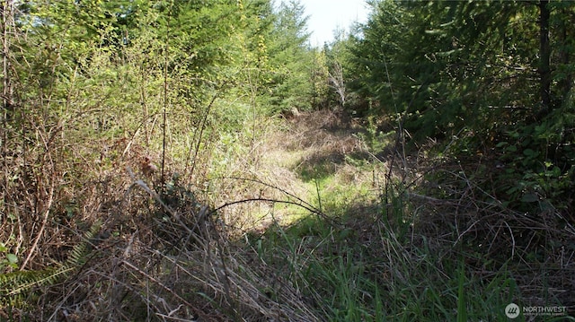 0 Winter Rd, Winlock, WA 98596