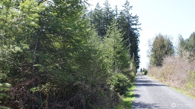 0 Winter Rd, Winlock, WA 98596