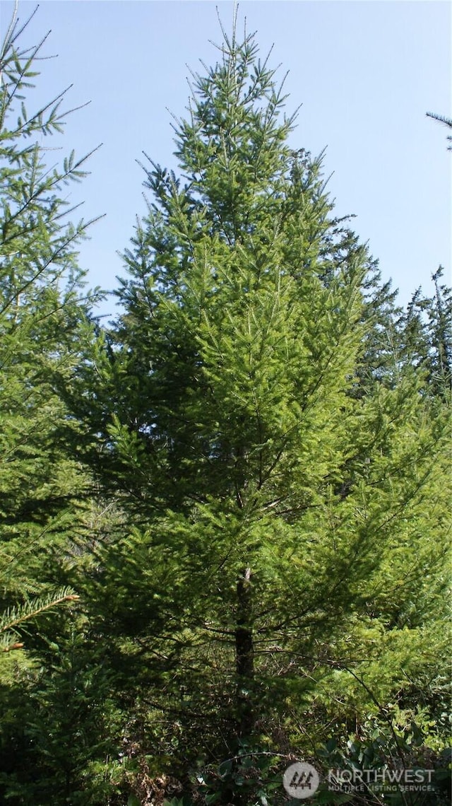 0 Winter Rd, Winlock, WA 98596