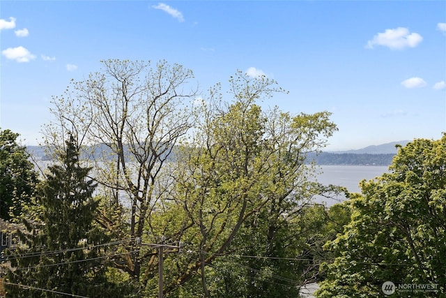 view of mountain backdrop