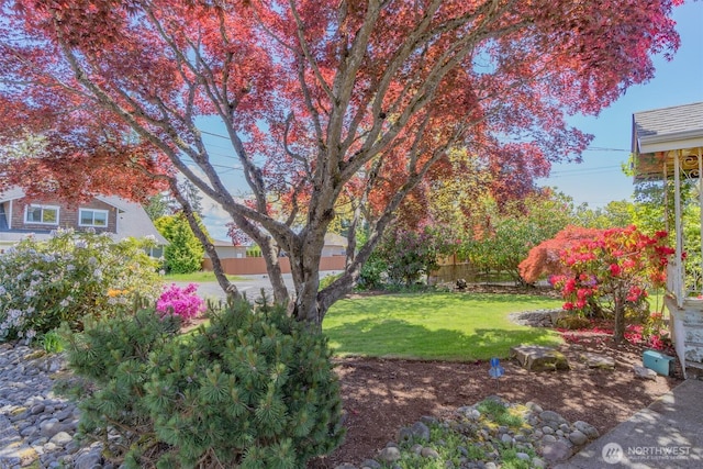 view of yard
