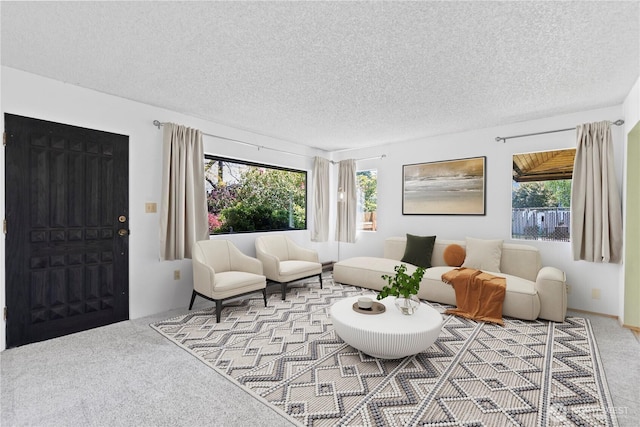 carpeted living room with a textured ceiling