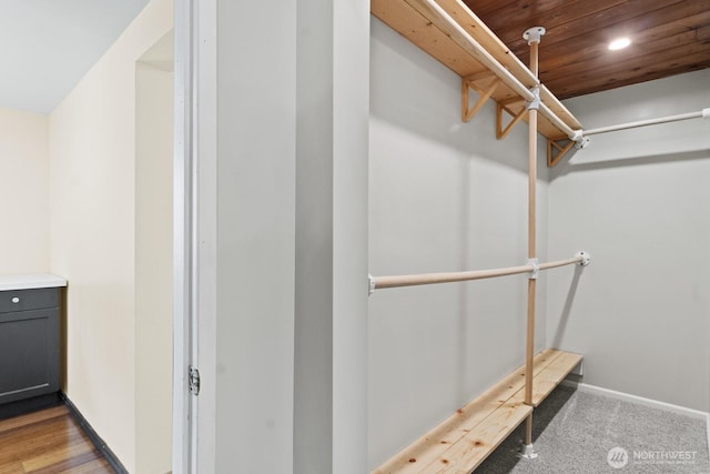 view of spacious closet