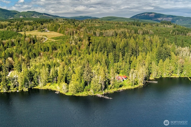 893 Snow Creek Rd, Quilcene, WA 98376 - bird's eye view of a heavily wooded area and a water and mountain view