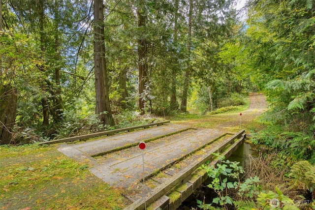 893 Snow Creek Rd, Quilcene, WA 98376 - view of community featuring a forest view and a game area