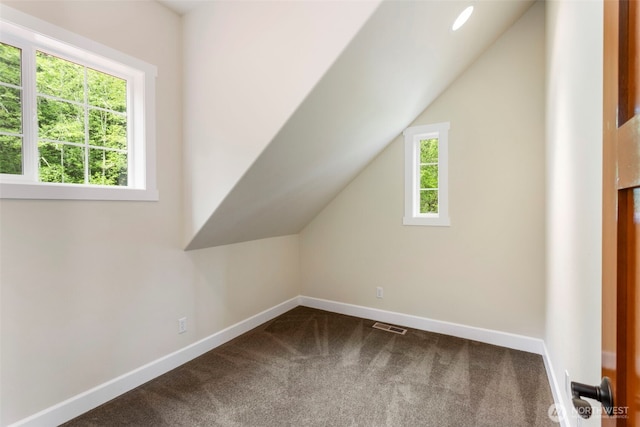 893 Snow Creek Rd, Quilcene, WA 98376 - additional living space with carpet floors, baseboards, and vaulted ceiling