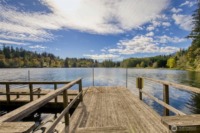 893 Snow Creek Rd, Quilcene, WA 98376 - dock with a water view and a view of trees
