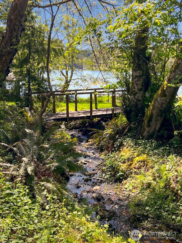 893 Snow Creek Rd, Quilcene, WA 98376 - view of yard