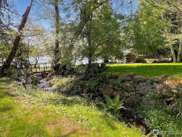 893 Snow Creek Rd, Quilcene, WA 98376 - view of yard
