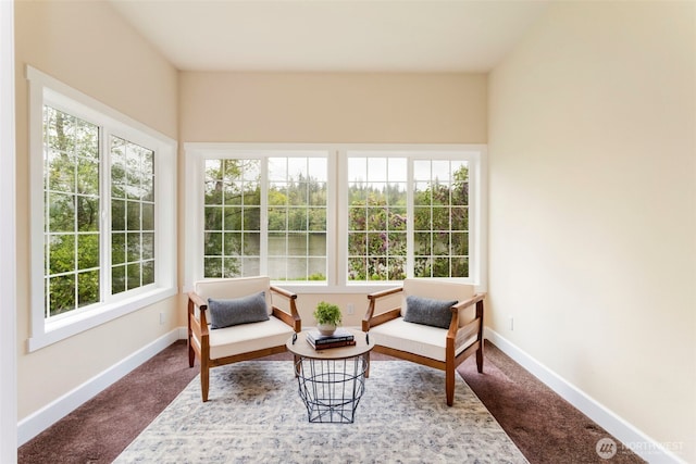 893 Snow Creek Rd, Quilcene, WA 98376 - sunroom / solarium featuring plenty of natural light