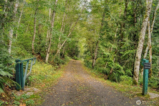 893 Snow Creek Rd, Quilcene, WA 98376 - view of road with a forest view