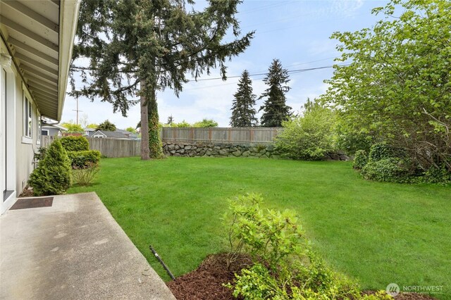 view of yard with a patio