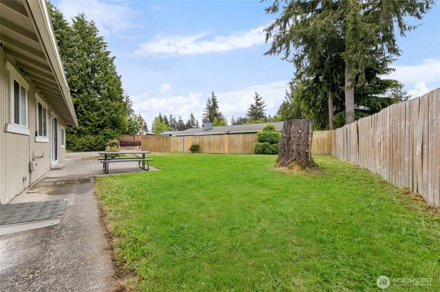 view of yard featuring a patio