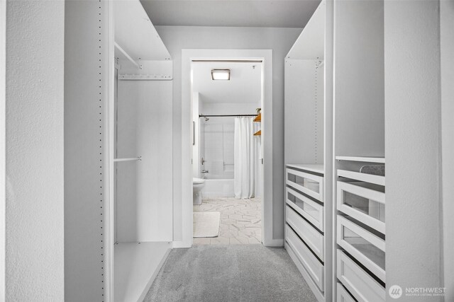 323 Queen Anne Ave N Unit 502, Seattle, WA 98109 - spacious closet featuring carpet floors