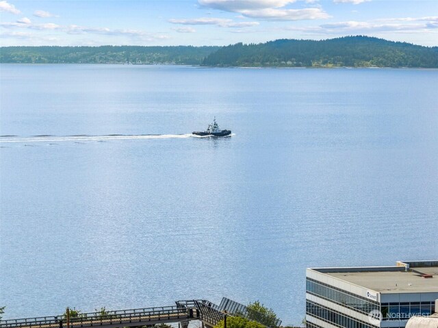 323 Queen Anne Ave N Unit 502, Seattle, WA 98109 - water view