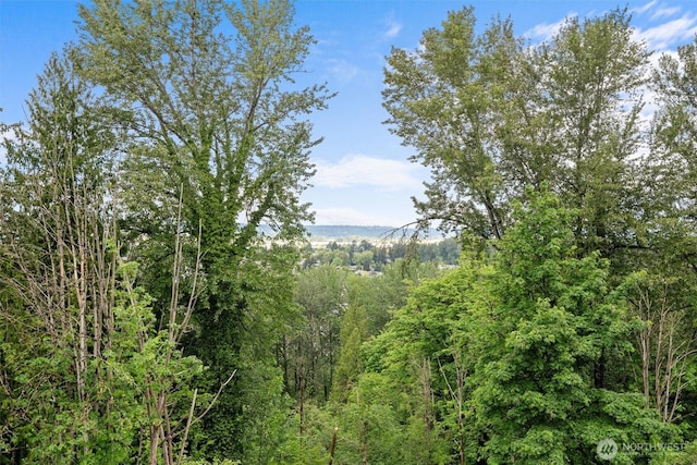 view of wooded area