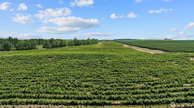 23648 NW Cliffe Pointe Rd Unit 10B, Quincy, WA 98848 - view of yard featuring agricultural plots and a view of countryside