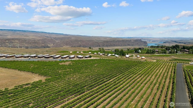 23648 NW Cliffe Pointe Rd Unit 10B, Quincy, WA 98848 - view of rural area with farmland and a mountainous background