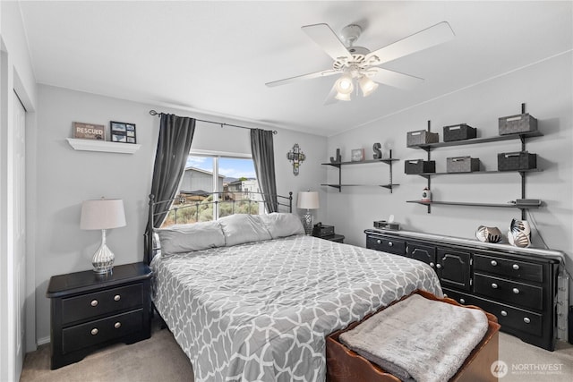 101 Lake Pl SW Unit 328, Mattawa, WA 99349 - bedroom with light carpet, a closet, and ceiling fan