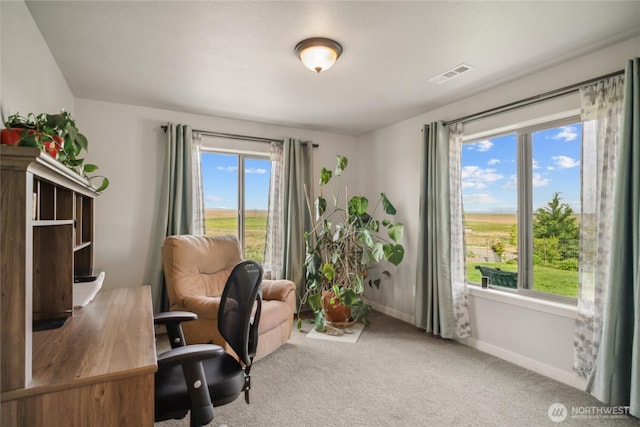 11975 NE Neppel Rd, Moses Lake, WA 98837 - carpeted home office featuring baseboards