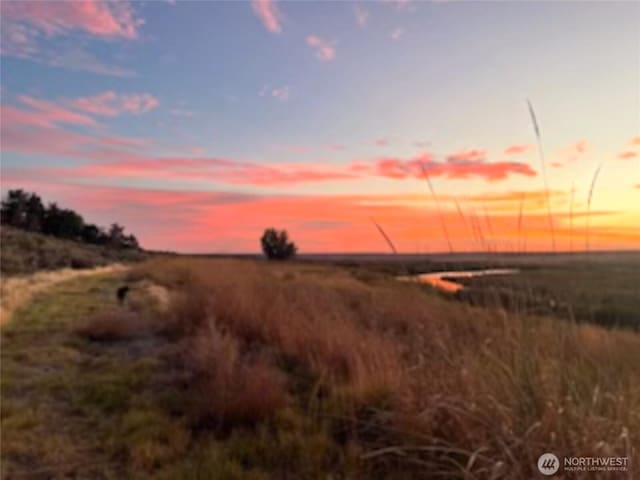 11975 NE Neppel Rd, Moses Lake, WA 98837 - nature at dusk with a view of rural / pastoral area